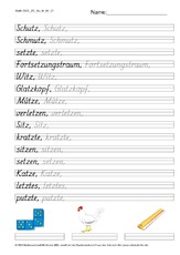 DSS_2S_Bu_tz_Nr_01.pdf